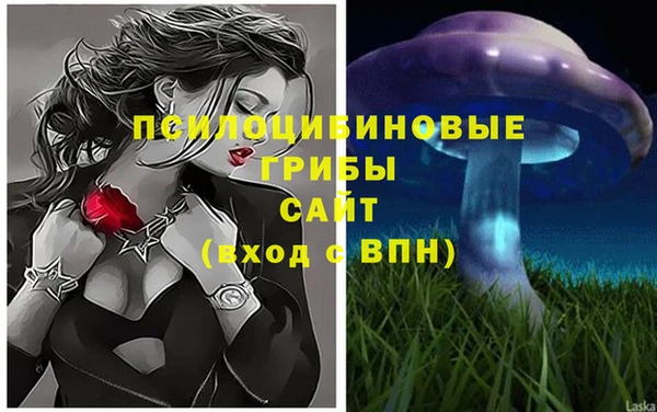 молекула духа Алексеевка