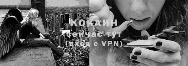 прущие крисы Алзамай
